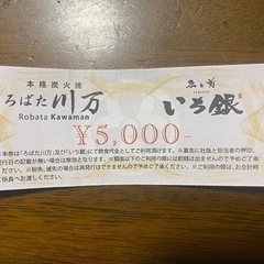 HYスカイフェス3日間通し券（2人分）