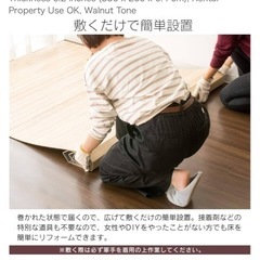 Iris Plaza 木目調ジョイントマット 350x260cmの画像