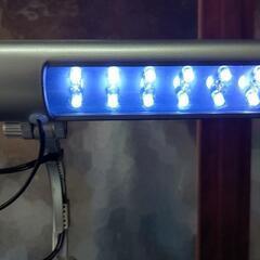 Tetra 水槽用LEDライトの画像