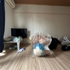 Iris Plaza 木目調ジョイントマット 350x260cmの画像