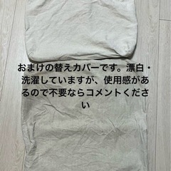 リビングでもダイニングでもつかえるソファチェア2脚の画像