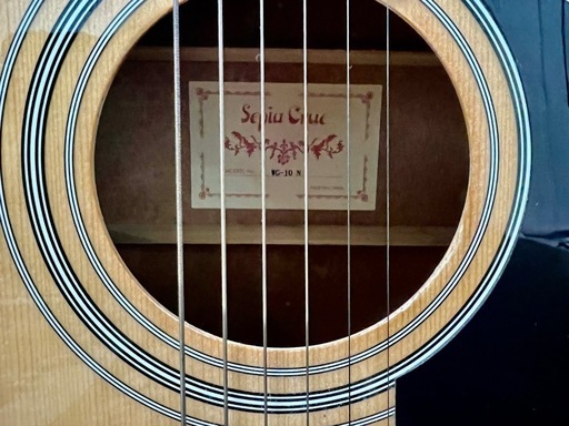 楽器 Sepia Crue Guitar