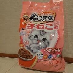 子猫用　カリカリの画像