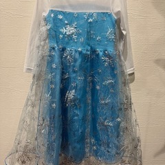エルサドレス100サイズの画像