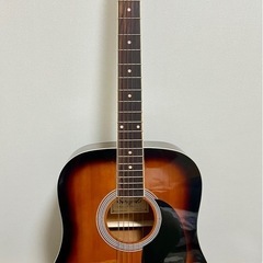 Honey Bee Guitar