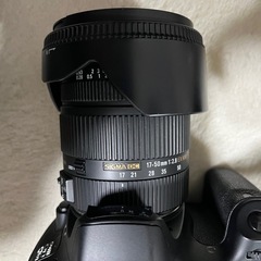 Canon60D 一眼レフの画像