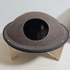 キャットハウス フェルトドーム