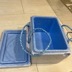 発泡スチロールの箱(小)