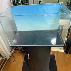 ADA水槽60×30×36 水槽台セット　フィルターとライトスクリーン別売り 