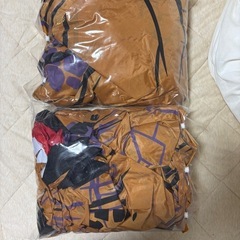 【購入者様決定】ティラノサウルス着ぐるみの画像