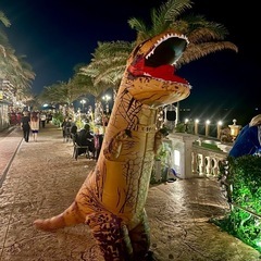 【購入者様決定】ティラノサウルス着ぐるみの画像