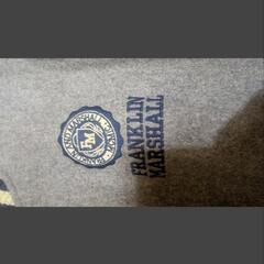 FRANKLIN&MARSHALLフランクリンマー袖 牛革の画像