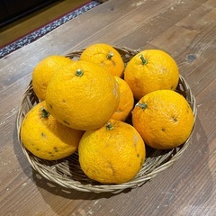 夏みかん