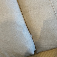 🎶大きなクッション２個組🎶の画像