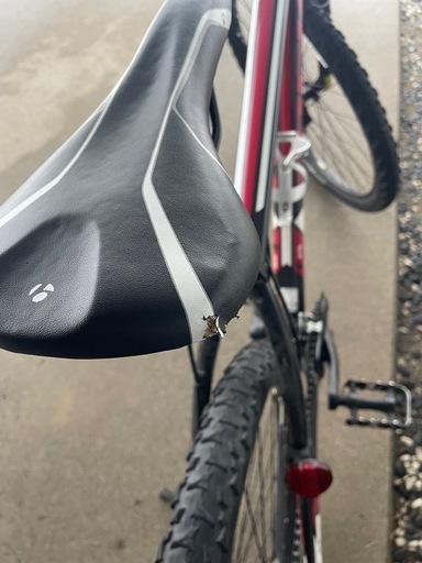 GIANT（ジャイアント） ESCAPE（エスケープ） RX 700C アルミ 27速