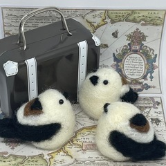 シマエナガさんとミニトランクセット
の画像