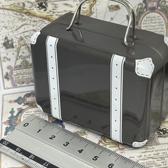 シマエナガさんとミニトランクセット
の画像