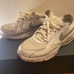 Nike Air Max スニーカー　24.5センチ