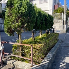 草刈り、剪定 - 剪定/造園