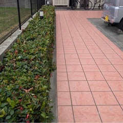 草刈り、剪定 - うるま市