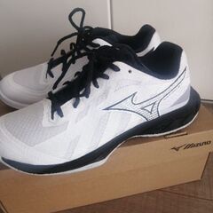 【美品】ミズノ　バドミントンシューズ　24.5センチの画像