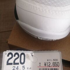 【美品】ミズノ　バドミントンシューズ　24.5センチの画像