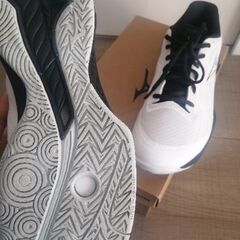 【美品】ミズノ　バドミントンシューズ　24.5センチの画像