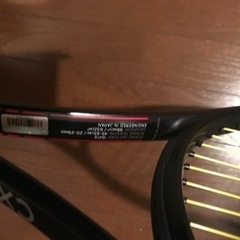 ダンロップCX200の画像