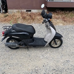 ホンダ AF67の画像