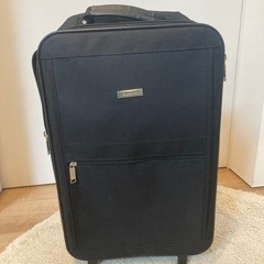 スーツケース　1人用の画像