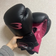 キックボクシング　グローブ