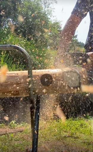 BIGm  CST310S エンジンチェンソー《》