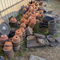 沢山あります盆栽植木鉢　色々　多肉植物などに