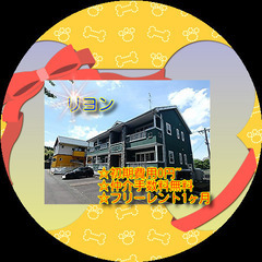 🧁 リヨン　202号室🧁✨初期費用0円~😁仲介手数料無料✨礼金な...