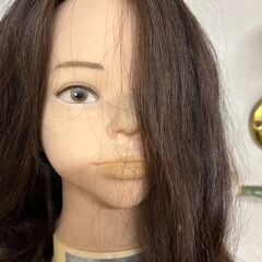 中古　理美容カットウイッグ　レジーナ　カット練習