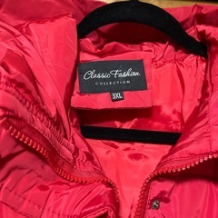 フード付きダウン（赤、3XL）の画像