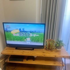 【3/26まで】テレビ台の画像