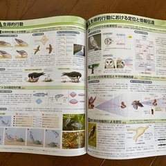 スクエア最新図説生物の画像