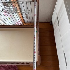 ペットサークル！の画像