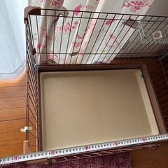 ペットサークル！の画像