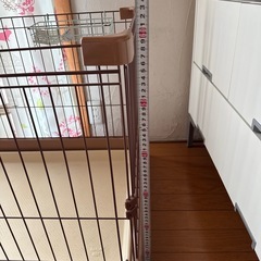 ペットサークル！の画像