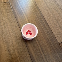 小型ペット用　お世話セット　ヒーターの画像