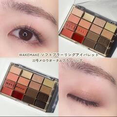wakemakeアイシャドウパレット22メロウオータムブラーリング※非売品おまけ付きの画像