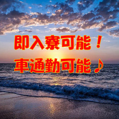 完全未経験OK！　男女活躍中♪の画像
