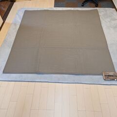 パナソニックホットカーペットの画像