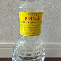 玉川温泉　浴用温泉水1L（飲用不可）の画像