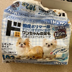 マナーウェアオス犬オシッコ専用紙オムツの画像