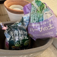 急遽‼️植木鉢全部の画像