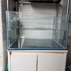 ガラス水槽60X45x36 レグラスフラットF600L Low