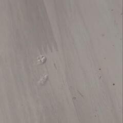 ダイニングセットの画像